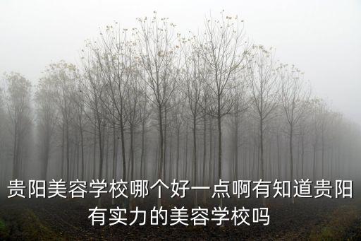 貴陽(yáng)美容學(xué)校哪個(gè)好一點(diǎn)啊有知道貴陽(yáng)有實(shí)力的美容學(xué)校嗎
