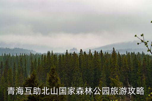 北山國(guó)家森林公園，大北山國(guó)家森林公園的介紹