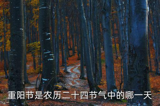 重陽節是農歷二十四節氣中的哪一天