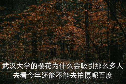 武漢大學(xué)的櫻花為什么會吸引那么多人去看今年還能不能去拍攝呢百度