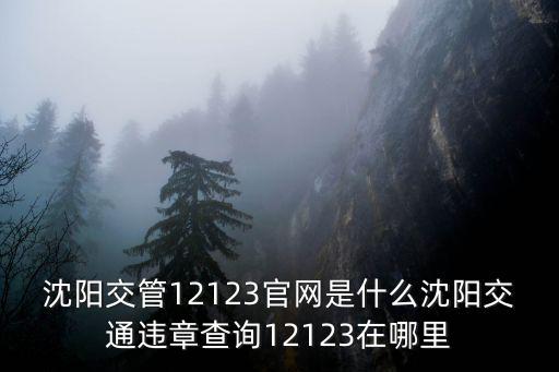 沈陽交管12123官網(wǎng)是什么沈陽交通違章查詢12123在哪里
