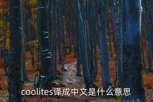 ITES，coolites譯成中文是什么意思