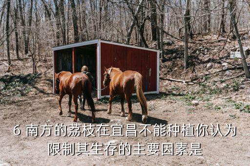 6 南方的荔枝在宜昌不能種植你認為限制其生存的主要因素是