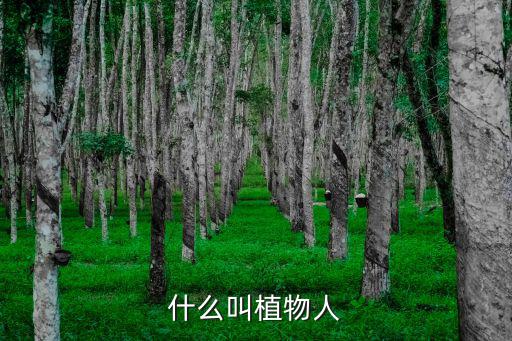 什么叫植物人