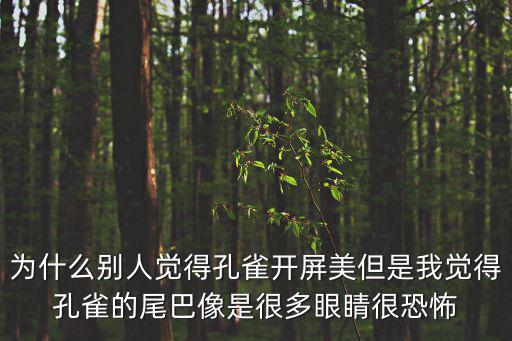 為什么別人覺得孔雀開屏美但是我覺得孔雀的尾巴像是很多眼睛很恐怖