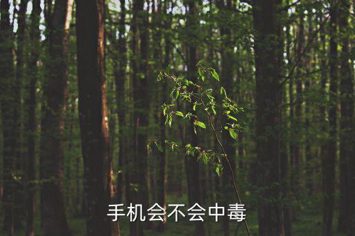手機(jī)會(huì)不會(huì)中毒