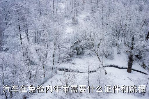 汽車在免檢內年審需要什么證件和流程