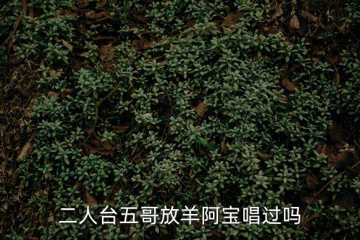 二人臺五哥放羊阿寶唱過嗎