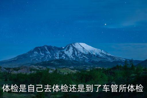 體檢是自己去體檢還是到了車管所體檢