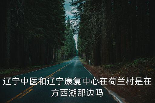 遼寧中醫(yī)和遼寧康復(fù)中心在荷蘭村是在方西湖那邊嗎
