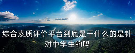 綜合素質評價平臺到底是干什么的是針對中學生的嗎