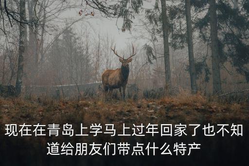 現在在青島上學馬上過年回家了也不知道給朋友們帶點什么特產