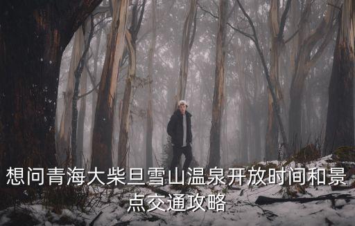 想問青海大柴旦雪山溫泉開放時間和景點交通攻略