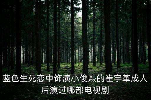 藍色生死戀中飾演小俊熙的崔宇革成人后演過哪部電視劇
