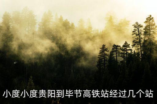 小度小度貴陽到畢節高鐵站經過幾個站
