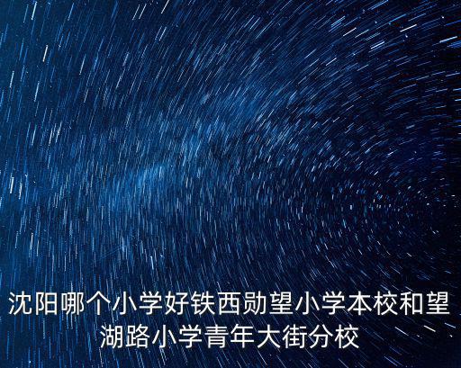 沈陽哪個小學好鐵西勛望小學本校和望湖路小學青年大街分校