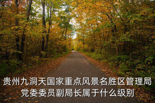 貴州九洞天國家重點風景名勝區管理局黨委委員副局長屬于什么級別