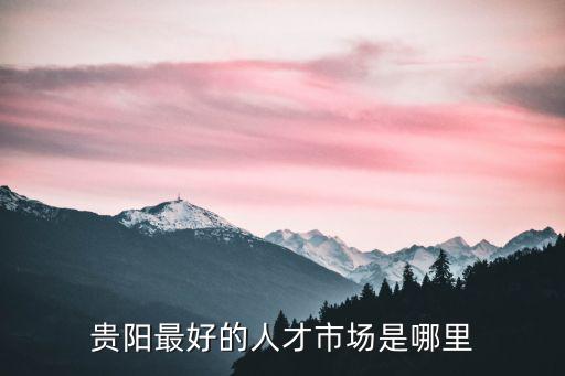 貴陽最好的人才市場是哪里