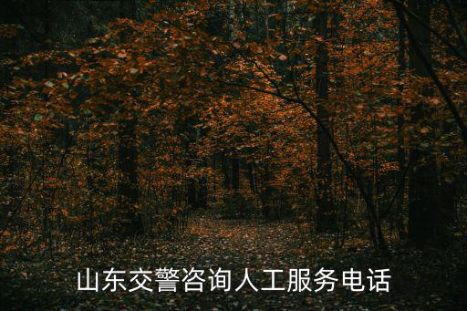 山東交警咨詢人工服務電話