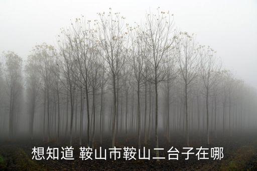 想知道 鞍山市鞍山二臺子在哪