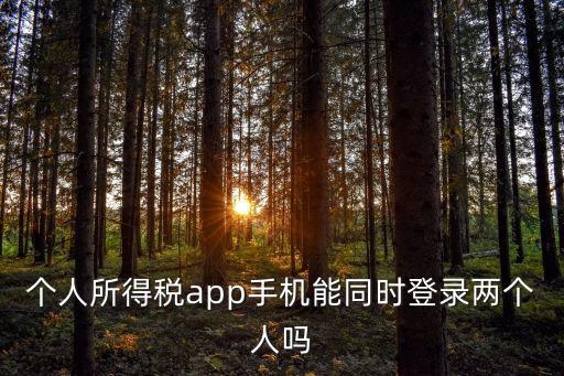 個人所得稅app手機能同時登錄兩個人嗎