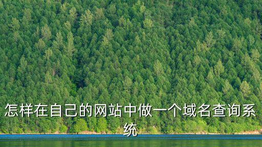 怎樣在自己的網(wǎng)站中做一個域名查詢系統(tǒng)