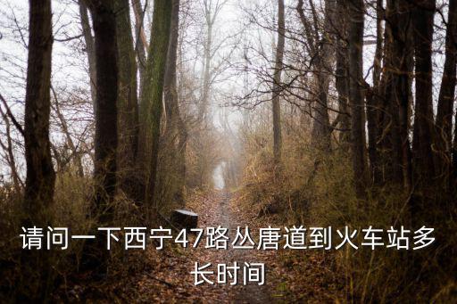 請問一下西寧47路叢唐道到火車站多長時間