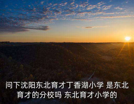 問下沈陽東北育才丁香湖小學 是東北育才的分校嗎 東北育才小學的