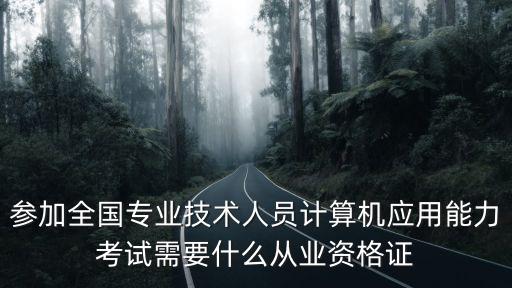 參加全國專業(yè)技術(shù)人員計算機(jī)應(yīng)用能力考試需要什么從業(yè)資格證