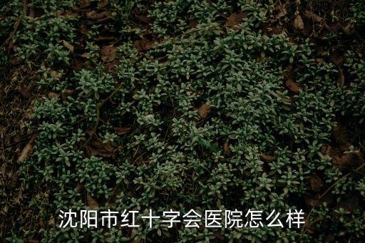 沈陽紅十字會醫院，沈陽市紅十字會醫院是三級甲等醫院嗎