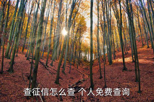 查征信怎么查 個人免費查詢