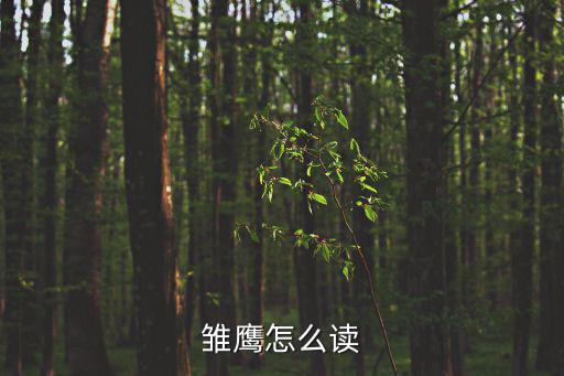 雛鷹怎么讀