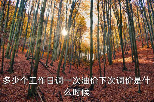 多少個工作日調(diào)一次油價下次調(diào)價是什么時候