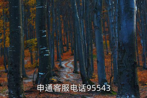 申通客服電話95543