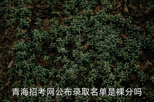 青海招考網公布錄取名單是裸分嗎