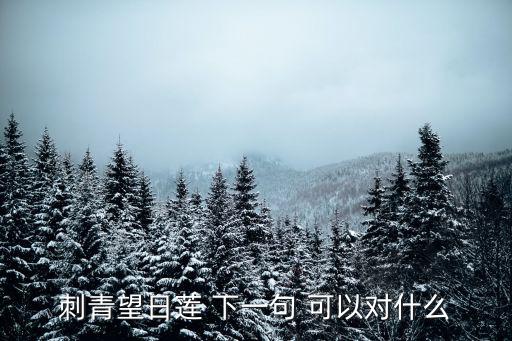 望日蓮，向日葵為何叫望日蓮