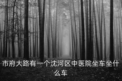 市府大路有一個沈河區中醫院坐車坐什么車