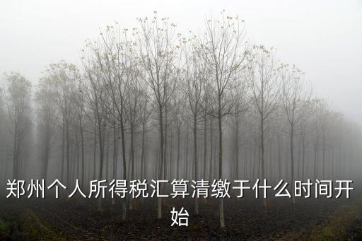 鄭州個人所得稅匯算清繳于什么時間開始