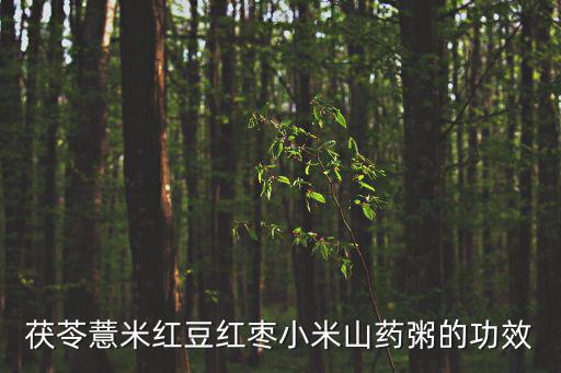 茯苓薏米紅豆紅棗小米山藥粥的功效