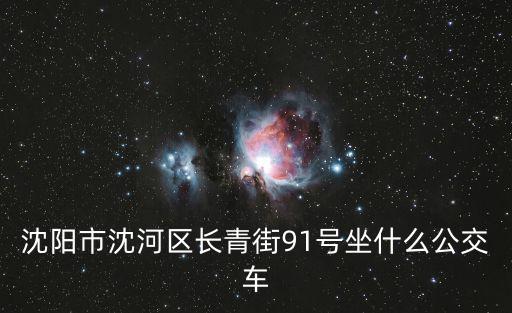沈陽市沈河區長青街91號坐什么公交車