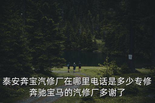 泰安奔寶汽修廠在哪里電話是多少專修奔馳寶馬的汽修廠多謝了