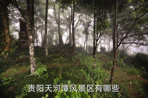 貴陽天河潭風景區有哪些