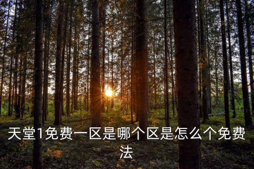 天堂1免費一區是哪個區是怎么個免費法