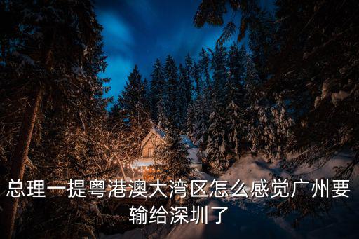 深圳大灣區(qū)，總理一提粵港澳大灣區(qū)怎么感覺廣州要輸給深圳了