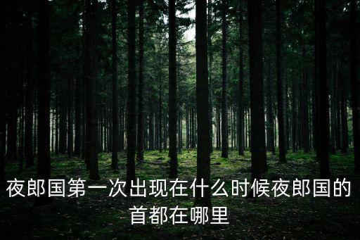 夜郎古城，夜郎古城怎么樣