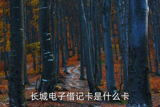 長(zhǎng)城電子借記卡是什么卡