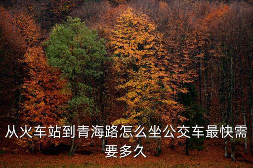 從火車站到青海路怎么坐公交車最快需要多久