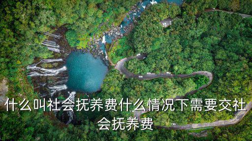 什么叫社會撫養費什么情況下需要交社會撫養費