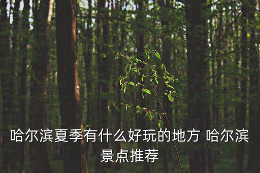 哈爾濱有什么好玩的地方景點推薦，黑龍江哈爾濱好玩的地方介紹下