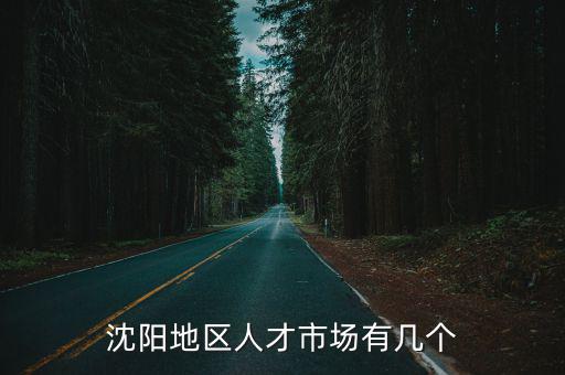 沈陽地區人才市場有幾個